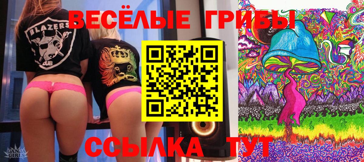 Галлюциногенные грибы прущие грибы  Галлюциногенные грибы ЛСД  цены   Вход с VPN  Котлас 